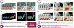 [NeurIPS23] ProBio: A Protocol-guided Multimodal Dataset for Molecular Biology Lab