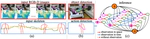 [AAAI18] Tracking Occluded Objects and Recovering Incomplete Trajectories by Reasoning about Containment Relations and Human Actions