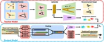 [ICRA21] Congestion-aware Multi-agent Trajectory Prediction for Collision Avoidance