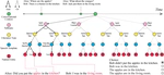 [ACL-Findings21] GRICE: A Grammar-based Dataset for Recovering Implicature and Conversational rEasoning