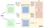 [IJNME21] Lagrangian‐Eulerian Multi‐Density Topology Optimization with the Material Point Method